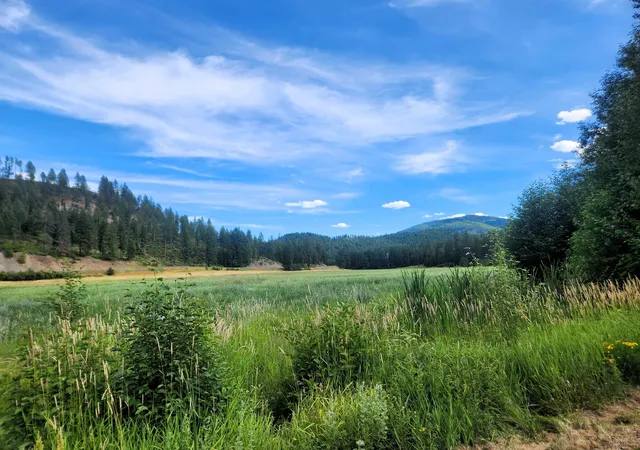 image of 942 Basin Rd, Colville, WA 99114 | MLS# 202621734