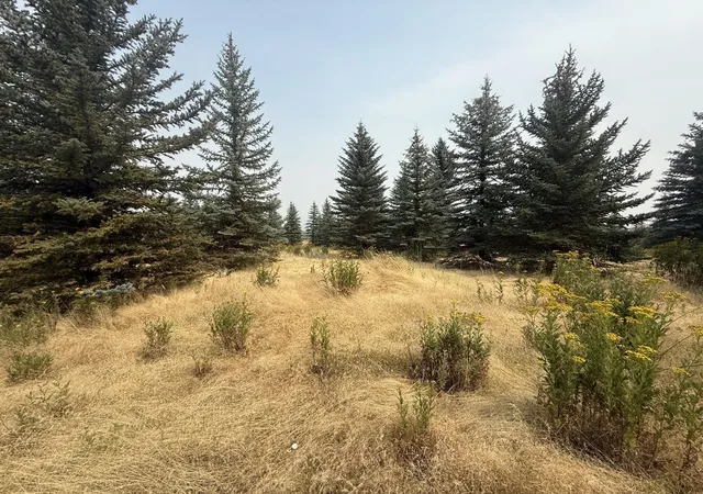1st image of 112xx S Spruce Tree Ln, Mica, WA 99023 | MLS# 202621871