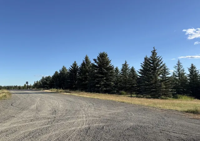 2nd image of 112xx S Spruce Tree Ln, Mica, WA 99023 | MLS# 202621871