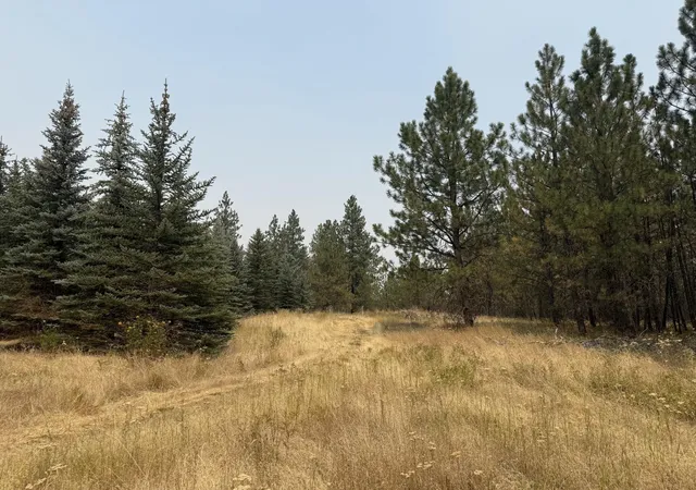 3rd image of 112Xx S Spruce Tree Ln, Mica, WA 99023 | MLS# 202621871