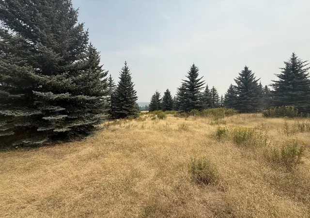 4th image of 112Xx S Spruce Tree Ln, Mica, WA 99023 | MLS# 202621871