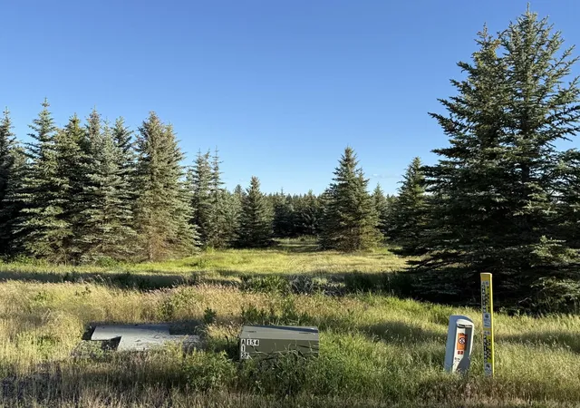 5th image of 112Xx S Spruce Tree Ln, Mica, WA 99023 | MLS# 202621871