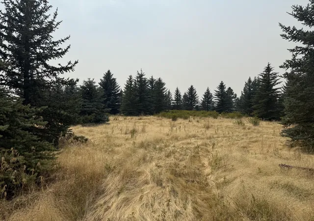 9th image of 112xx S Spruce Tree Ln, Mica, WA 99023 | MLS# 202621871