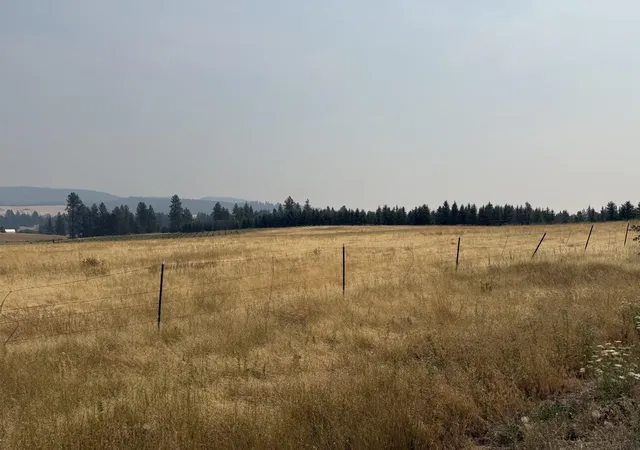 1st image of 111xx S Spruce Tree Ln, Mica, WA 99023 | MLS# 202621875