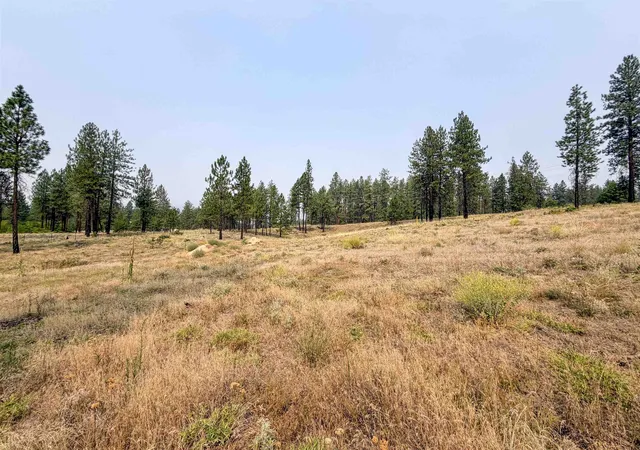 4th image of 1315 Inez Wy, Kettle Falls, WA 99141 | MLS# 202621913