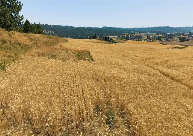 5th image of 103Xx E Mt Spokane Park Dr, Mead, WA 99021 | MLS# 202621918
