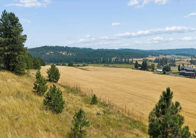3rd image of 104Xx E Mt Spokane Park Dr, Mead, WA 99021 | MLS# 202621919