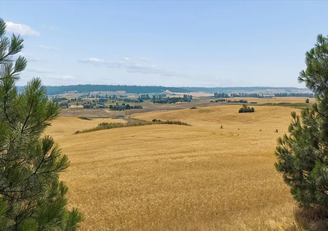 5th image of 104Xx E Mt Spokane Park Dr, Mead, WA 99021 | MLS# 202621919