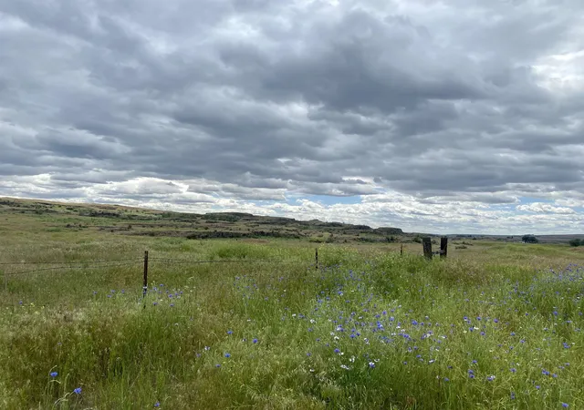 Photo 2 of Land for sale at 2xx Nka, Sprague, WA 99032 | MLS# 202621955 | Listing updated on 2026-08-08