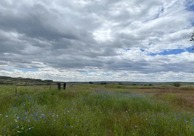 Photo 3 of Land for sale at 2xx Nka, Sprague, WA 99032 | MLS# 202621955 | Listing updated on 2026-08-08