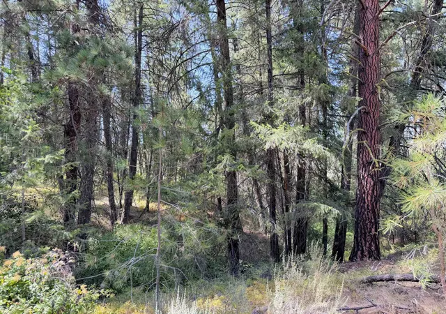 35th image of Tbd N Miles/creston Rd, Creston, WA 99117 | MLS# 202622012