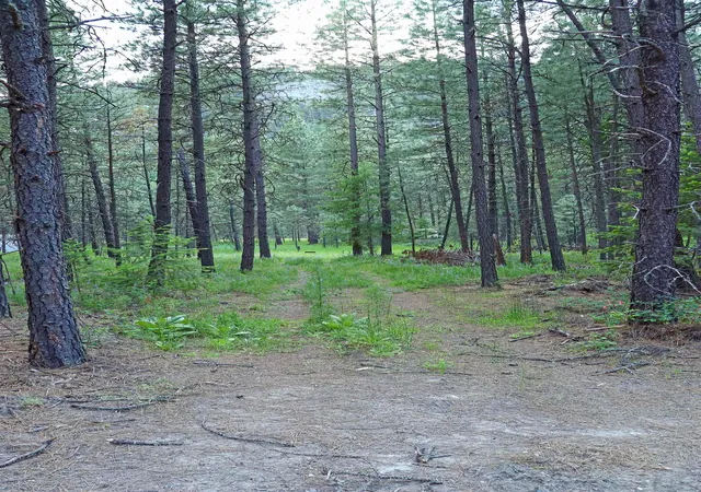 Photo 3 of Land for sale at 3733 C Sand Crk Rd, Kettle Falls, WA 99141 | MLS# 202622017 | Listing updated on 2026-08-10