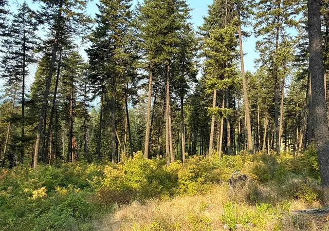 Photo 2 of Land for sale at Nka Berry Rd, Usk, WA 99180 | MLS# 202622060 | Listing updated on 2026-08-11