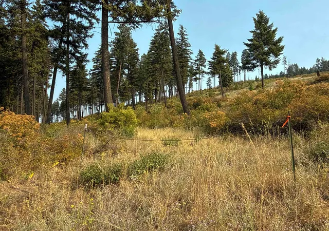 Photo 3 of Land for sale at Nka Berry Rd, Usk, WA 99180 | MLS# 202622060 | Listing updated on 2026-08-11