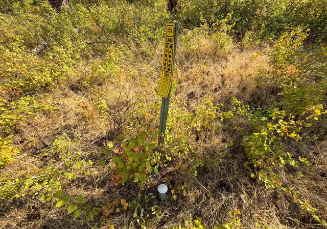 Photo 3 of Land for sale at Nka Berry Rd, Usk, WA 99180 | MLS# 202622060 | Listing updated on 2026-08-11