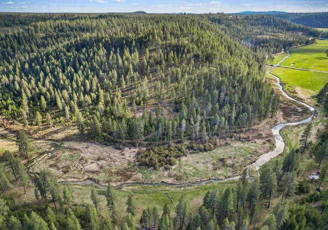 1st image of Xxx Springdale Hunters Rd, Springdale, WA 99173 | MLS# 202622118