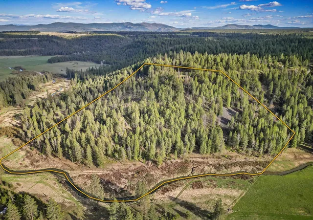 13th image of Xxx Springdale Hunters Rd, Springdale, WA 99173 | MLS# 202622118