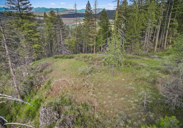 3rd image of Xxx Springdale Hunters Rd, Springdale, WA 99173 | MLS# 202622118