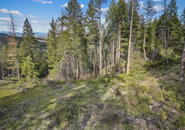 4th image of Xxx Springdale Hunters Rd, Springdale, WA 99173 | MLS# 202622118