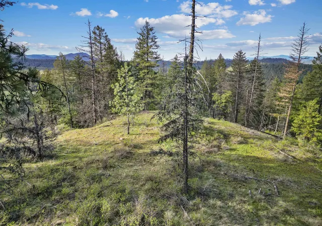 5th image of Xxx Springdale Hunters Rd, Springdale, WA 99173 | MLS# 202622118