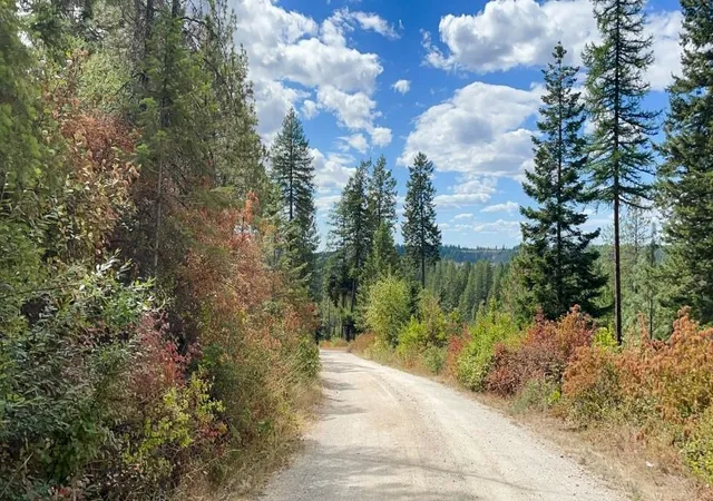 1st image of 11618 E Dusty Ln, Chattaroy, WA 99003 | MLS# 202622141