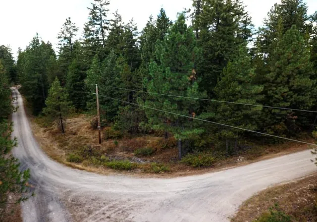 2nd image of 11618 E Dusty Ln, Chattaroy, WA 99003 | MLS# 202622141