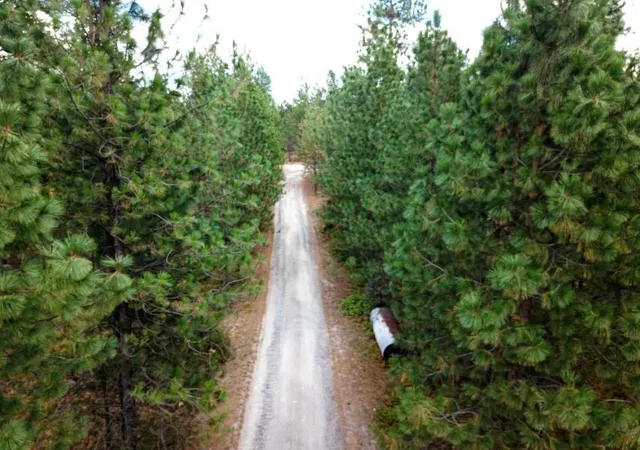 Photo 3 of Land for sale at 11618 E Dusty Ln, Chattaroy, WA 99003 | MLS# 202622141 | Listing updated on 2026-09-20