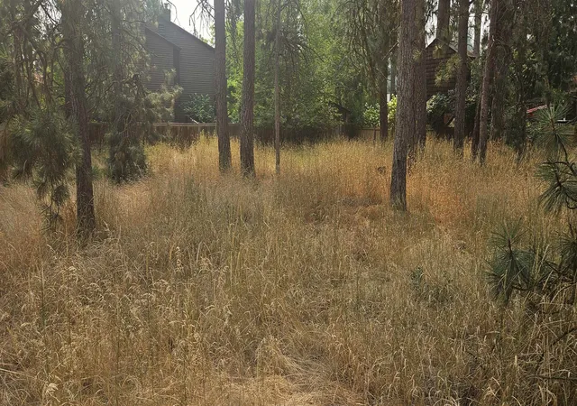 Photo 2 of Land for sale at Xxxx S Madelia St, Spokane, WA 99223 | MLS# 202622239 | Listing updated on 2026-08-14