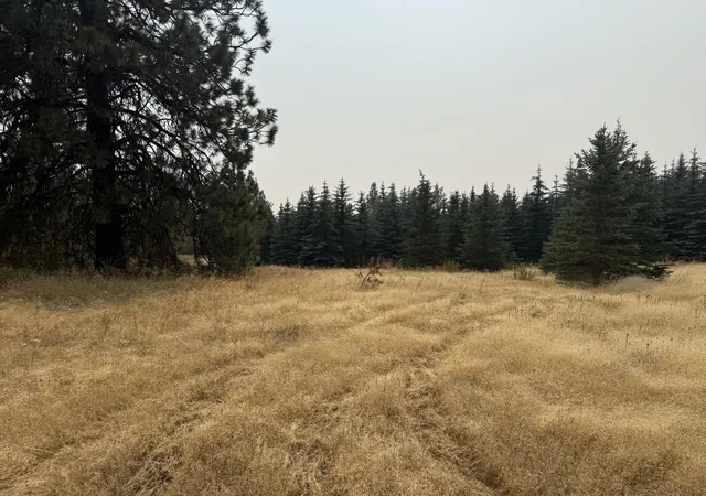 1st image of 119xx S Spruce Tree Ln, Mica, WA 99023 | MLS# 202622245