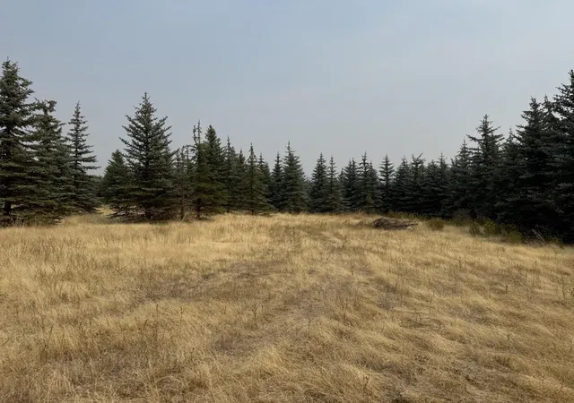 2nd image of 119xx S Spruce Tree Ln, Mica, WA 99023 | MLS# 202622245