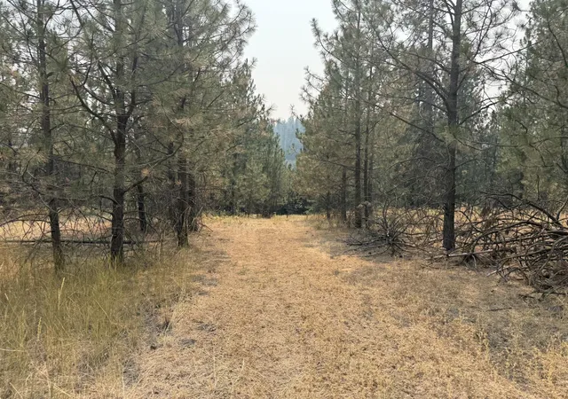 3rd image of 119Xx S Spruce Tree Ln, Mica, WA 99023 | MLS# 202622245