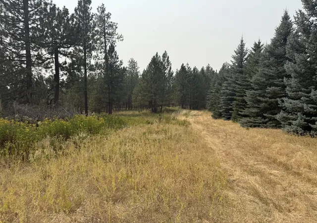 4th image of 119Xx S Spruce Tree Ln, Mica, WA 99023 | MLS# 202622245