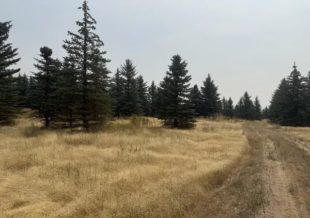 5th image of 119Xx S Spruce Tree Ln, Mica, WA 99023 | MLS# 202622245