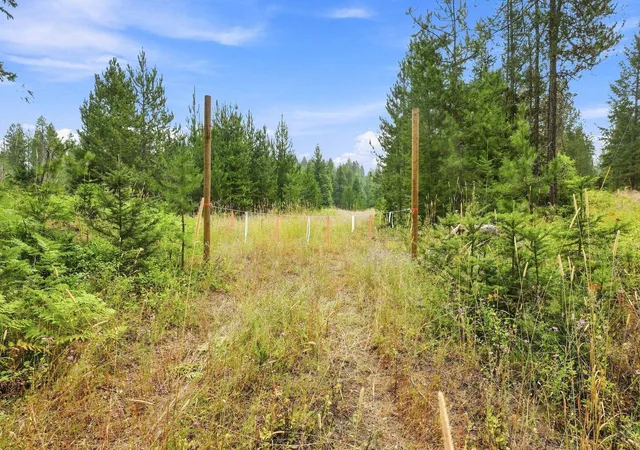 4th image of 1301 Roberts Rd, Newport, WA 99156 | MLS# 202622262