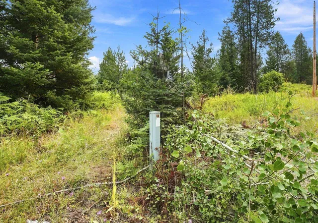 5th image of 1301 Roberts Rd, Newport, WA 99156 | MLS# 202622262
