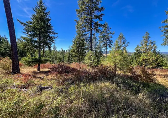 Photo 1 of Land for sale at 52xx Lot 7 Swenson Rd, Deer Park, WA 99006 | MLS# 202622267 | Listing updated on 2026-08-14