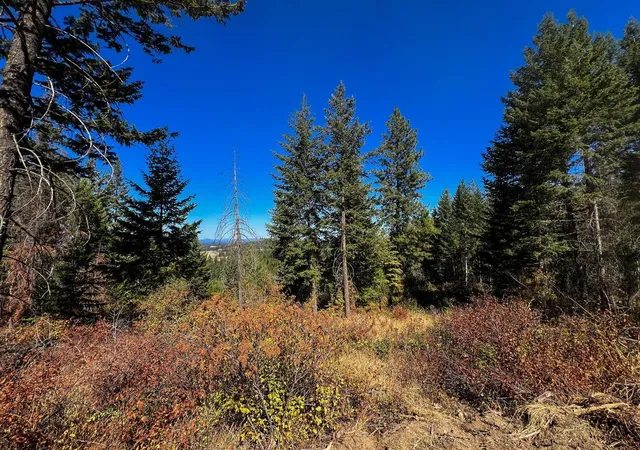 Photo 4 of Land for sale at 52xx Lot 7 Swenson Rd, Deer Park, WA 99006 | MLS# 202622267 | Listing updated on 2026-08-14