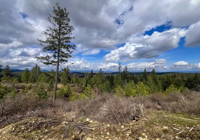 Photo 1 of Land for sale at 52xx Lot 8 Swenson Rd, Deer Park, WA 99006 | MLS# 202622268 | Listing updated on 2026-08-14