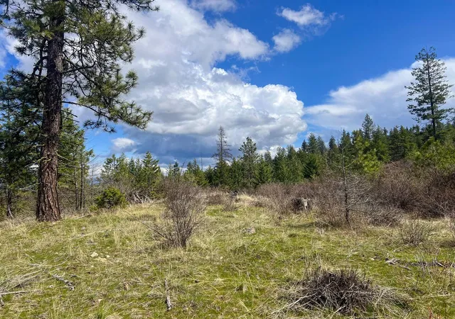 Photo 3 of Land for sale at 52xx Lot 8 Swenson Rd, Deer Park, WA 99006 | MLS# 202622268 | Listing updated on 2026-08-14