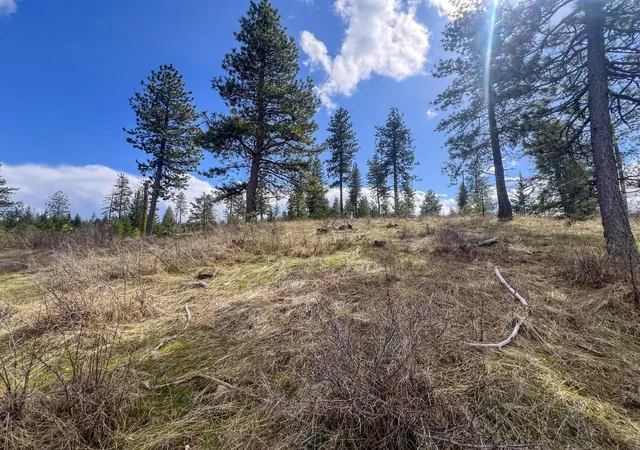 Photo 4 of Land for sale at 52xx Lot 8 Swenson Rd, Deer Park, WA 99006 | MLS# 202622268 | Listing updated on 2026-08-14
