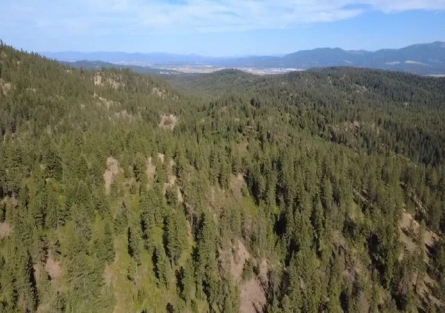 Photo 3 of Land for sale at 95xx N Campbell Rd, Spokane, WA 99027 | MLS# 202622361 | Listing updated on 2026-08-17