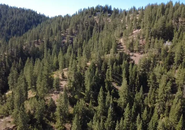 Photo 4 of Land for sale at 95xx N Campbell Rd, Spokane, WA 99027 | MLS# 202622361 | Listing updated on 2026-08-17