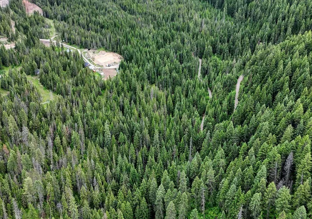 Photo 3 of Land for sale at Nkn Bead Lake Lot 5 Rd, Newport, WA 99156 | MLS# 202622369 | Listing updated on 2026-09-03