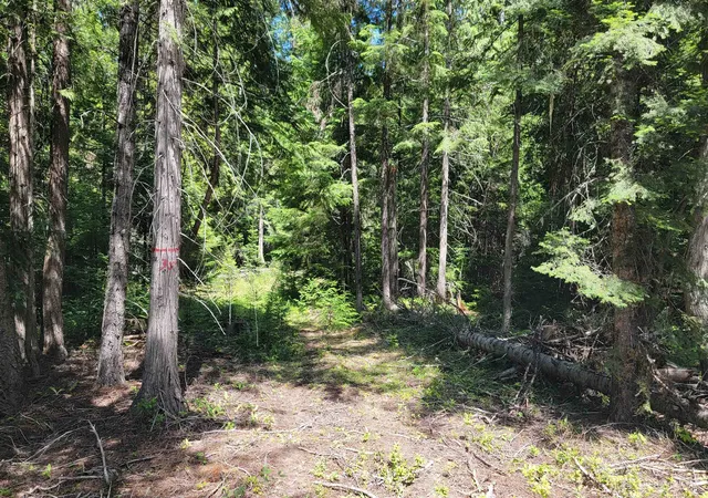 44th image of Nkn Bead Lake   Lot 5 Rd, Newport, WA 99156 | MLS# 202622369