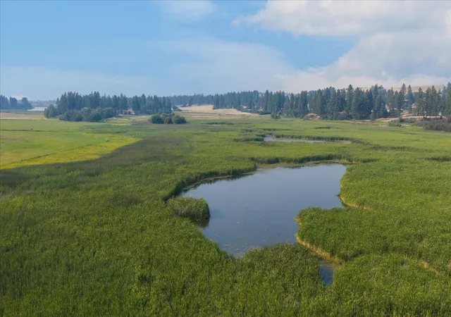 Photo 1 of Land for sale at 0000 S Murphy Rd, Cheney, WA 99004 | MLS# 202622400 | Listing updated on 2026-08-18