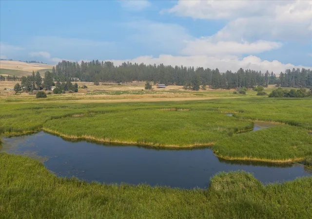 Photo 2 of Land for sale at 0000 S Murphy Rd, Cheney, WA 99004 | MLS# 202622400 | Listing updated on 2026-08-18