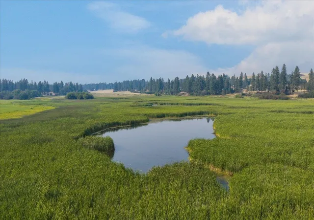 Photo 3 of Land for sale at 0000 S Murphy Rd, Cheney, WA 99004 | MLS# 202622400 | Listing updated on 2026-08-18