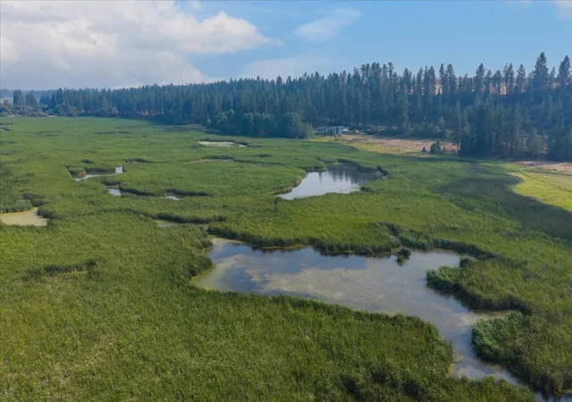Photo 4 of Land for sale at 0000 S Murphy Rd, Cheney, WA 99004 | MLS# 202622400 | Listing updated on 2026-08-18