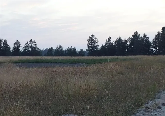 image of Orchard Rd, Chattaroy, WA 99003 | MLS# 202622444