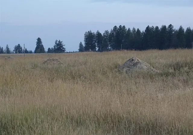 11th image of Orchard Rd, Chattaroy, WA 99003 | MLS# 202622444